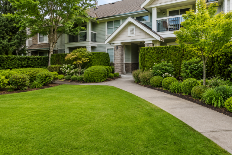 Maintained lawn, hedges, garden beds, and walkway at a Metro Vancouver residential property