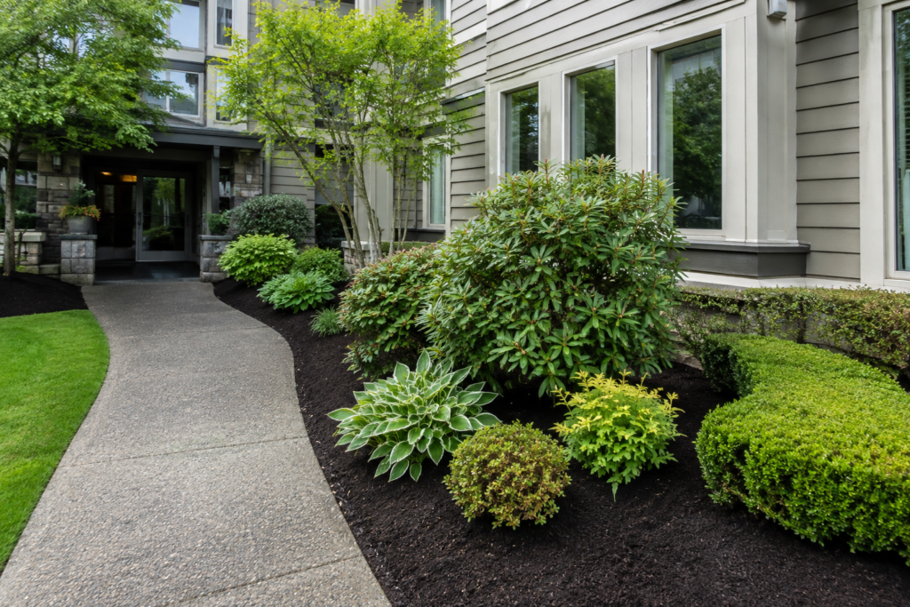 Garden beds maintained by Basilscape with dark mulch, shrubs, and a residential entrance walkway