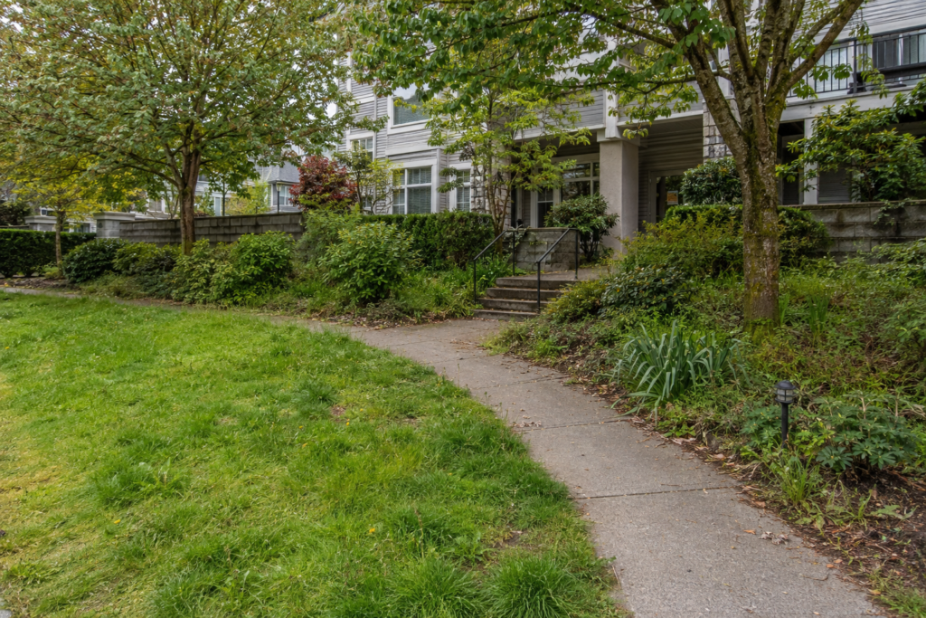 Overgrown strata lawn and garden beds before landscaping cleanup