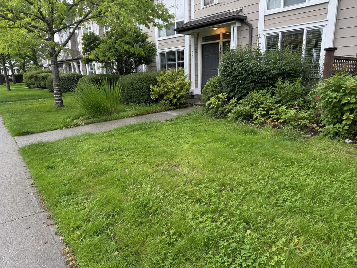 Surrey townhouse landscaping before maintenance, with overgrown lawn edges and garden beds.