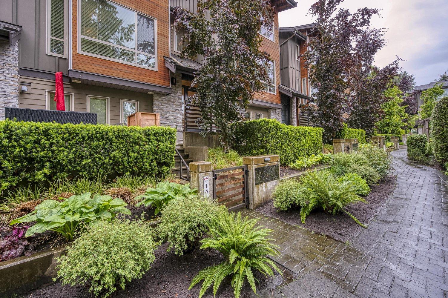 Townhouse landscaping with mature hedges, ferns, and garden beds
